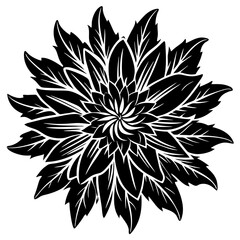 black and white flower