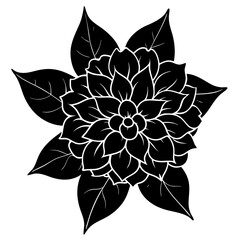 black and white flower