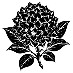 black and white flower