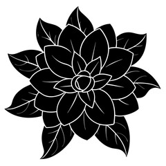 black and white flower