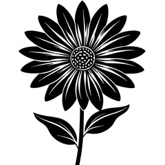 black and white flowers