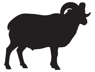 RAM SILHOUETTE