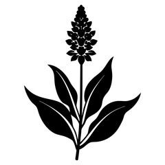 black silhouette of a plant
