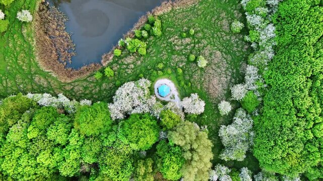 Rising above the blue roof of gazebo located in the park. Stunning nature with a lake, green meadows and trees from top view. The Netherlands.