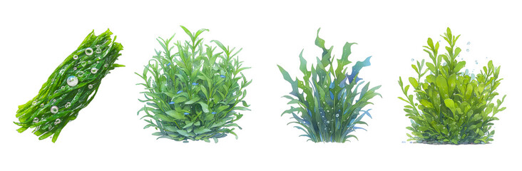 Watercolor collection of seaweed and underwater plants in green and blue tones. Ideal for ocean scenes, aquarium decor, and marine design projects.
