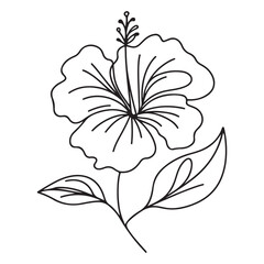 Simple Hibiscus Flower Line Drawing Vector Illustration Floral Design