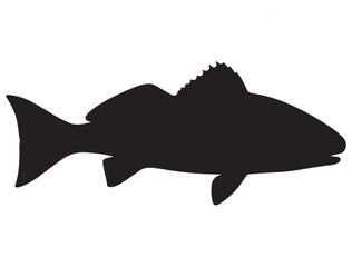 RED DRUM FISH SILHOUETTE