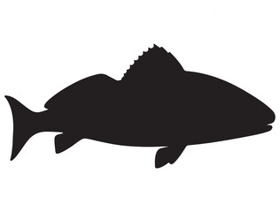 RED DRUM FISH SILHOUETTE