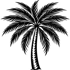 palm tree silhouette