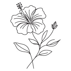 Exotic Hibiscus Flower Line Art Design for Botanical Illustrations