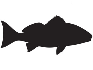 RED DRUM FISH SILHOUETTE