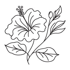 Detailed Hibiscus Flower Line Art Drawing Illustration Design