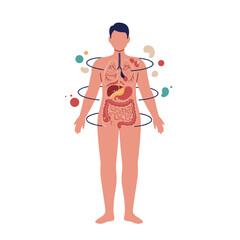 Male human body with internal organs illustration and abstract elements  