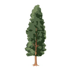 The pine tree is in a flat style. Plants in the forest. Vector illustration.