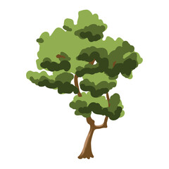 The tree is green and summery in a flat style. Plants in the forest. Vector illustration.