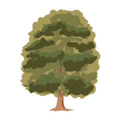 The tree is green and summery in a flat style. Plants in the forest. Vector illustration.
