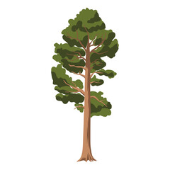 The pine tree is in a flat style. Plants in the forest. Vector illustration.