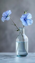 Delicate Blue Flowers in a Glass Vase Minimalist Still Life