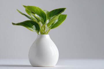 Simple white ceramic vase with green leaves on white surface