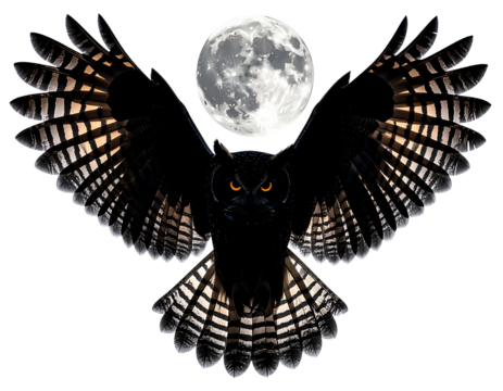  “Night Owl in Flight with Spread Wings Silhouetted, Transparent PNG”