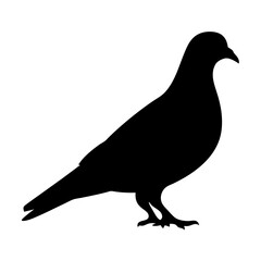 Obraz premium Silhouette of a standing pigeon, an illustration on a white background
