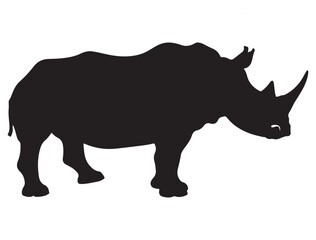  RHINO SILHOUETTE
