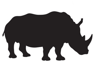  RHINO SILHOUETTE