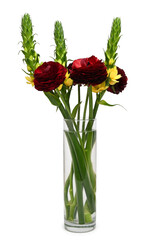 Bouquet of red Ranunculus flowers and yellow Ornithogalum Dubium in glass vase