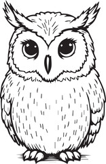 owl on white background