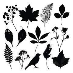 Obraz premium autumn leaf silhouette set, Black & White silhouette set