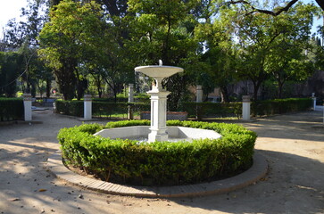 Obraz premium View of Murillo Gardens in summer sunny day in Seville, Spain