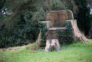 Chair carved form wood with green ivy