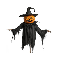 Cheerful scarecrow
