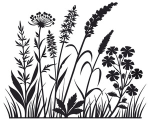 Naklejka premium Elegant Black Silhouettes of Meadow Wild Herbs and Wildflowers Design Template