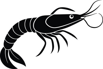 shrimp vector illustration