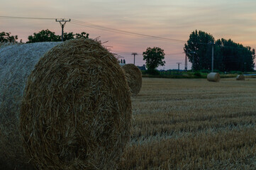 Round hay bales in a stubble field at golden hour © Michal Plevko