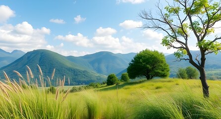 Fototapeta premium summer landscape in the mountains