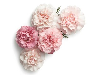 Elegant Pink and White Carnation Flower Arrangement