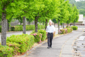 Fototapeta premium In rural Japan, a Japanese man in his late 70s walks along a farm road surrounded by wide rice fields. He wears a white shirt and hat, enjoying the fresh air and peaceful countryside atmosphere.