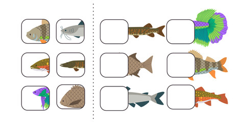 Puzzle cut out find and match animal fish education illustration printable material