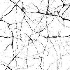 Vector illlustrations