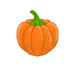 pumpkin on a white background