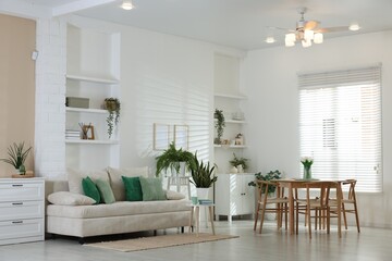 Comfortable sofa, table, chairs and green houseplants indoors. Interior design