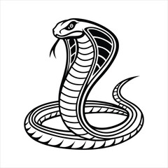 Fototapeta premium Elegant Fanged Cobra Snake 
