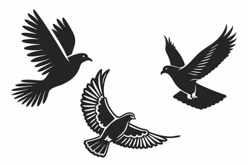 Fototapeta premium dove of peace