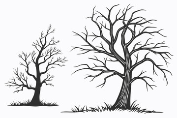 Obraz premium silhouette of a tree