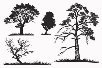 set of trees