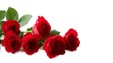 A beautiful bunch of red roses arranged elegantly. These vibrant flowers symbolize love and passion. Perfect for celebrations, gifts, or home decor. 