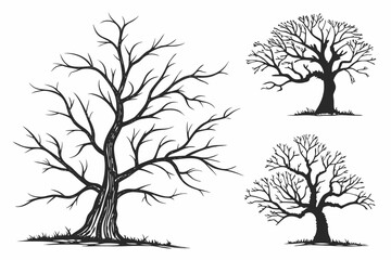 Fototapeta premium set of trees