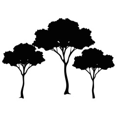 Silhouetted trees in a nature scene against a plain background at dusk